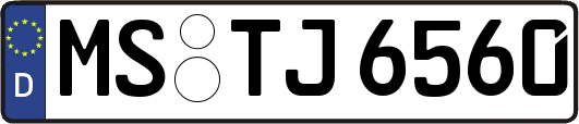 MS-TJ6560