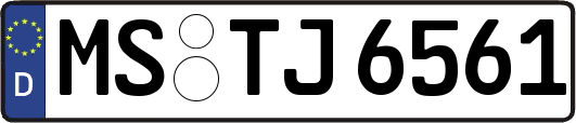 MS-TJ6561
