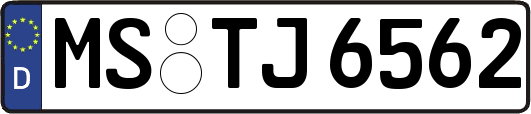 MS-TJ6562