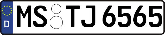 MS-TJ6565