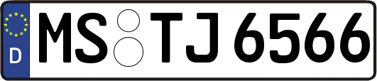 MS-TJ6566