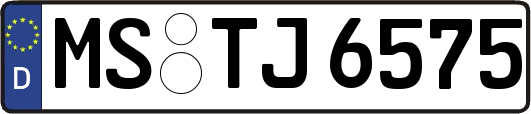 MS-TJ6575