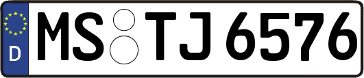 MS-TJ6576