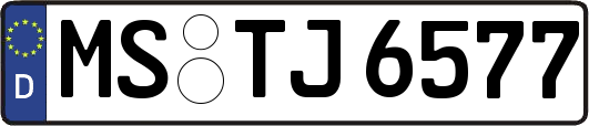 MS-TJ6577