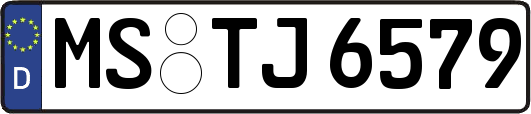 MS-TJ6579