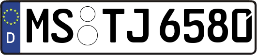 MS-TJ6580