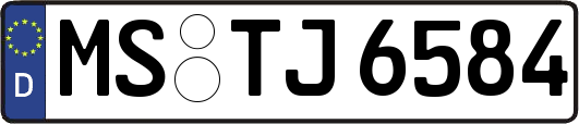 MS-TJ6584