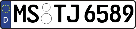 MS-TJ6589