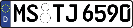 MS-TJ6590