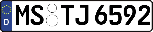 MS-TJ6592