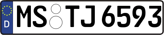 MS-TJ6593