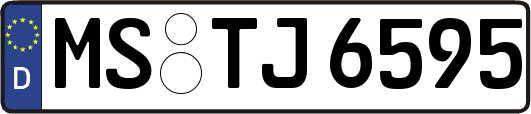 MS-TJ6595