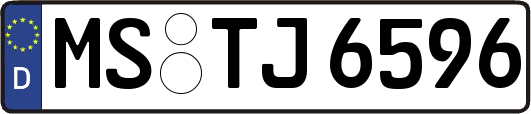 MS-TJ6596