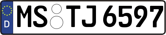 MS-TJ6597