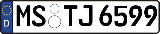 MS-TJ6599