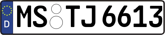 MS-TJ6613