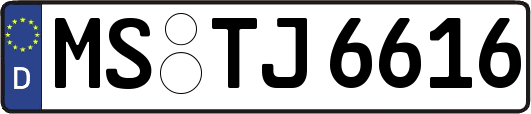 MS-TJ6616