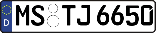 MS-TJ6650