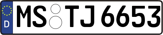MS-TJ6653