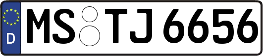 MS-TJ6656