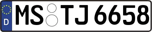 MS-TJ6658