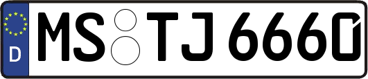 MS-TJ6660