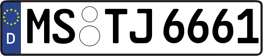 MS-TJ6661