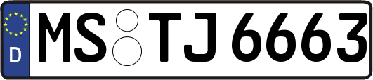 MS-TJ6663