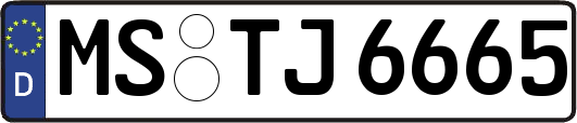 MS-TJ6665