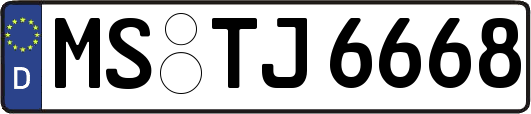 MS-TJ6668