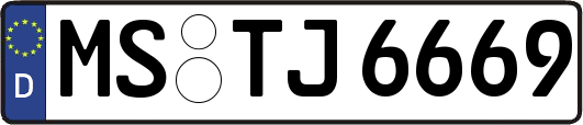 MS-TJ6669
