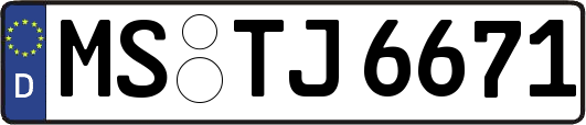 MS-TJ6671