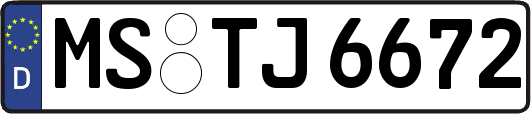 MS-TJ6672