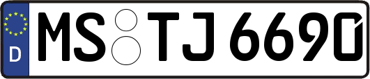 MS-TJ6690