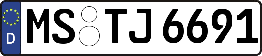 MS-TJ6691