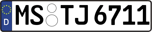 MS-TJ6711