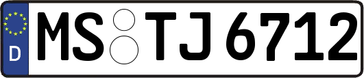 MS-TJ6712