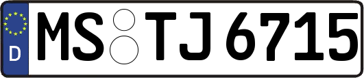 MS-TJ6715