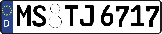 MS-TJ6717