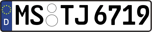 MS-TJ6719