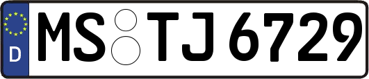 MS-TJ6729