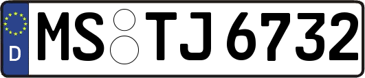 MS-TJ6732