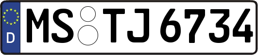 MS-TJ6734