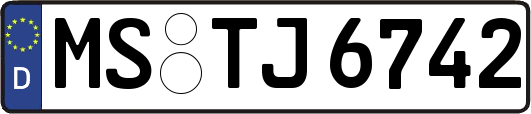 MS-TJ6742