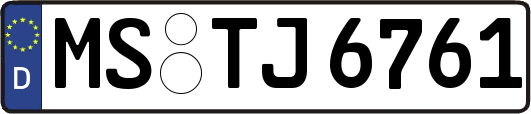 MS-TJ6761