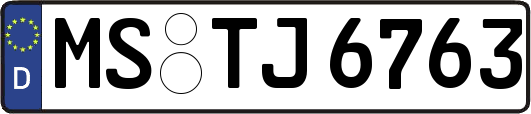 MS-TJ6763