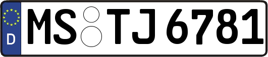 MS-TJ6781