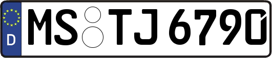 MS-TJ6790