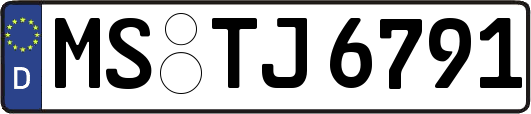 MS-TJ6791
