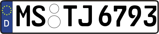 MS-TJ6793